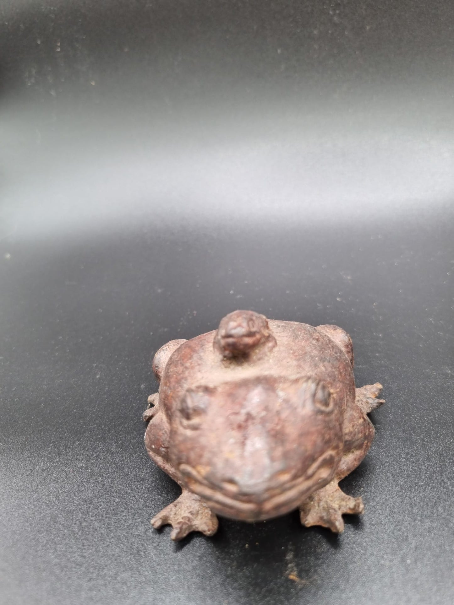 Grenouille et son petit balinaise indonésie ---