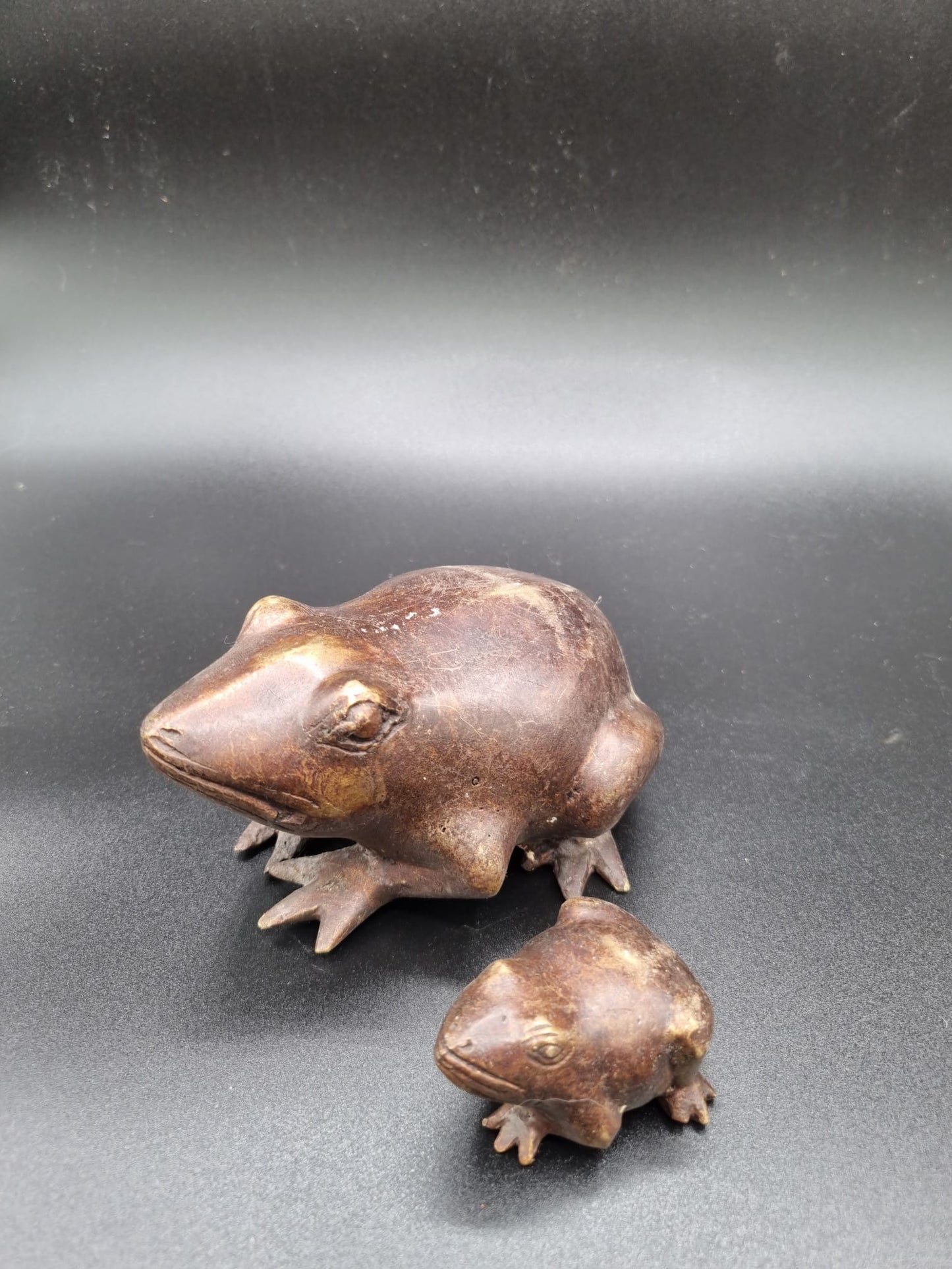 Grenouille et son petit balinaise indonésie ---