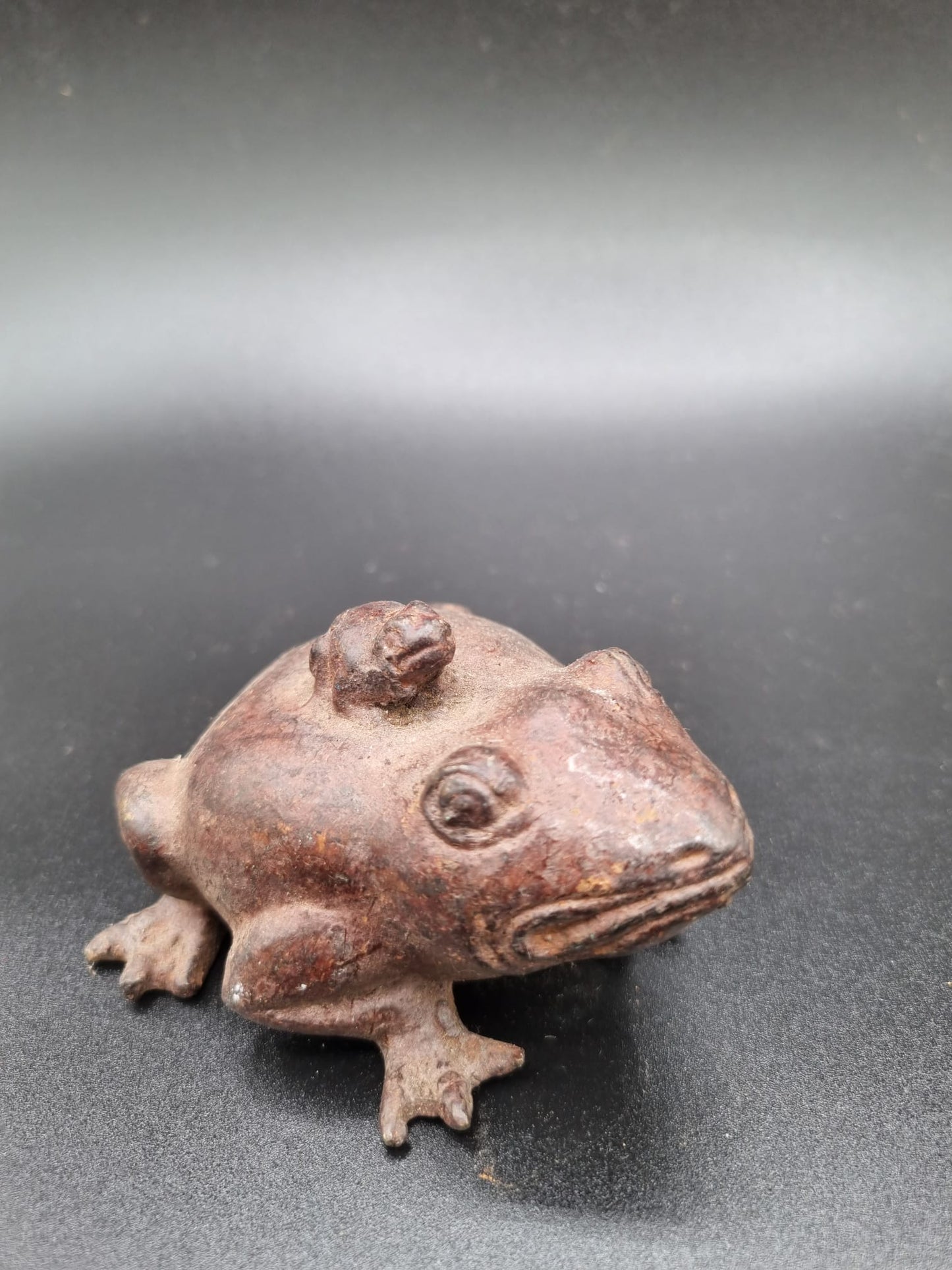 Grenouille et son petit balinaise indonésie ---