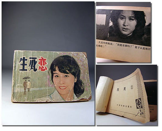 Roman de l'époque Mao 1950-1960